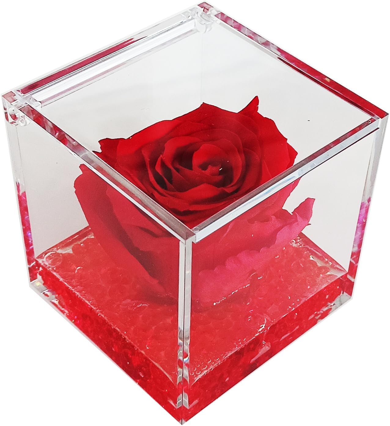 ROSA STABILIZZATA
