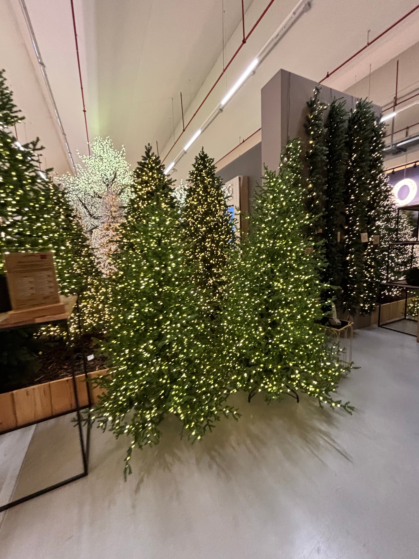 Pino artificiale EDG