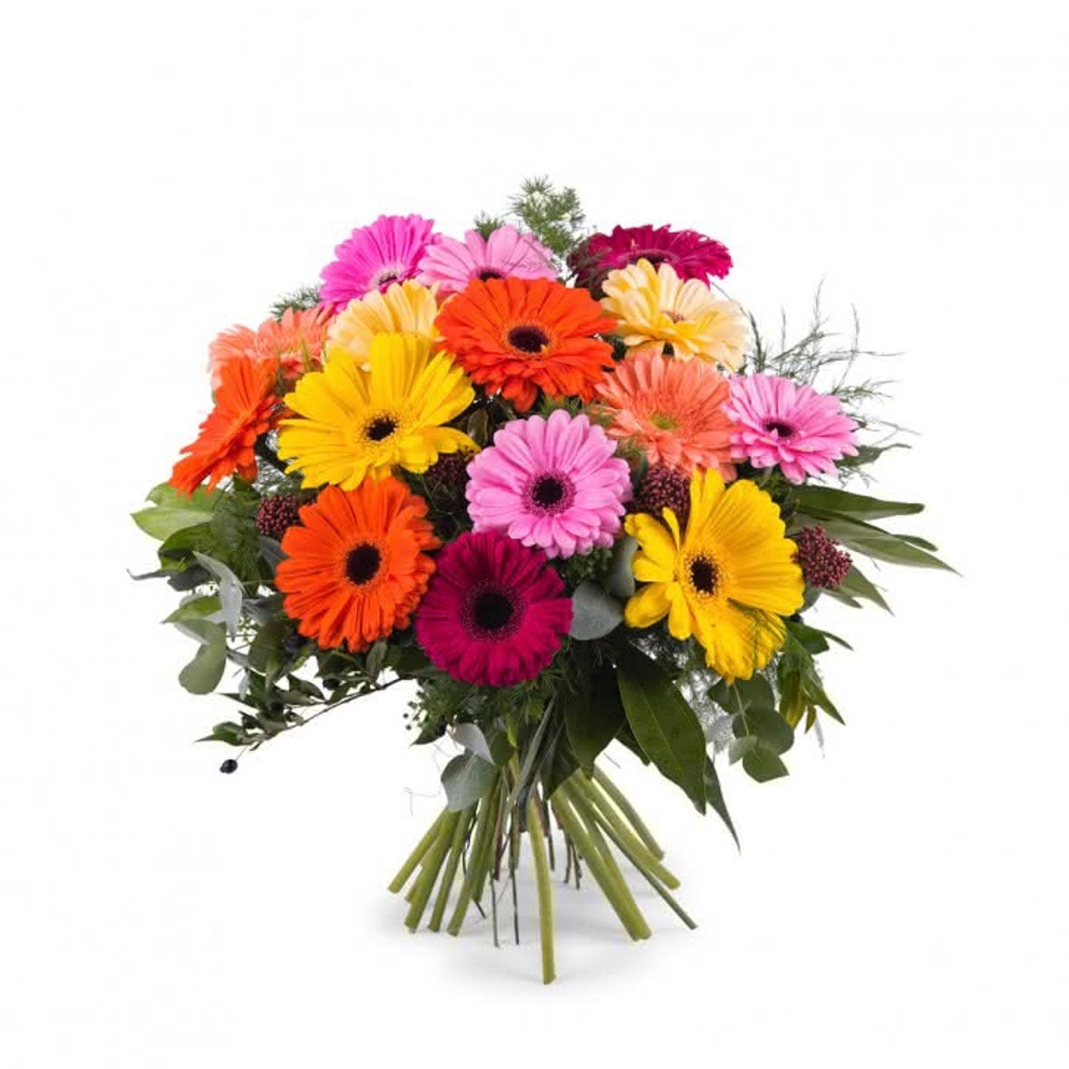 Bouquet di gerbere miste