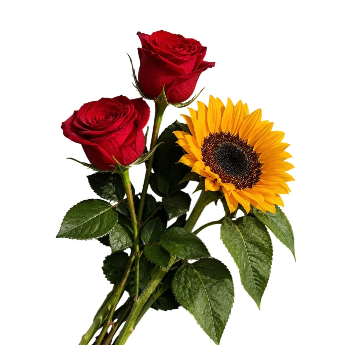 Rosa e girasole confezionato