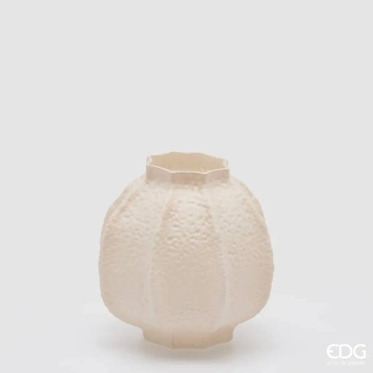 Vaso Flow Primordial EDG