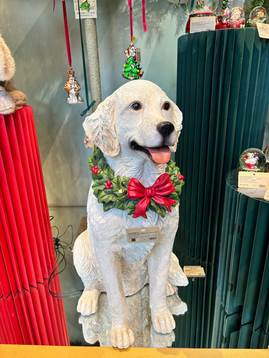 Decoro cane Labrador retriever EDG